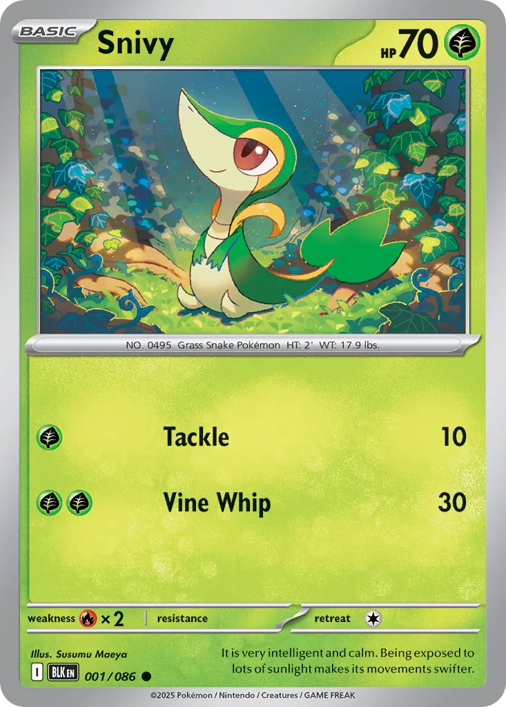 Snivy #1