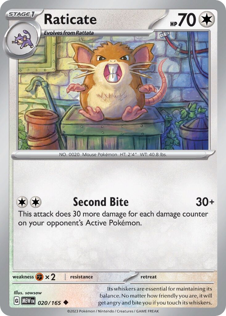 Raticate #20
