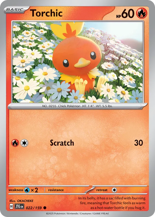 Torchic [Reverse Holo] #22