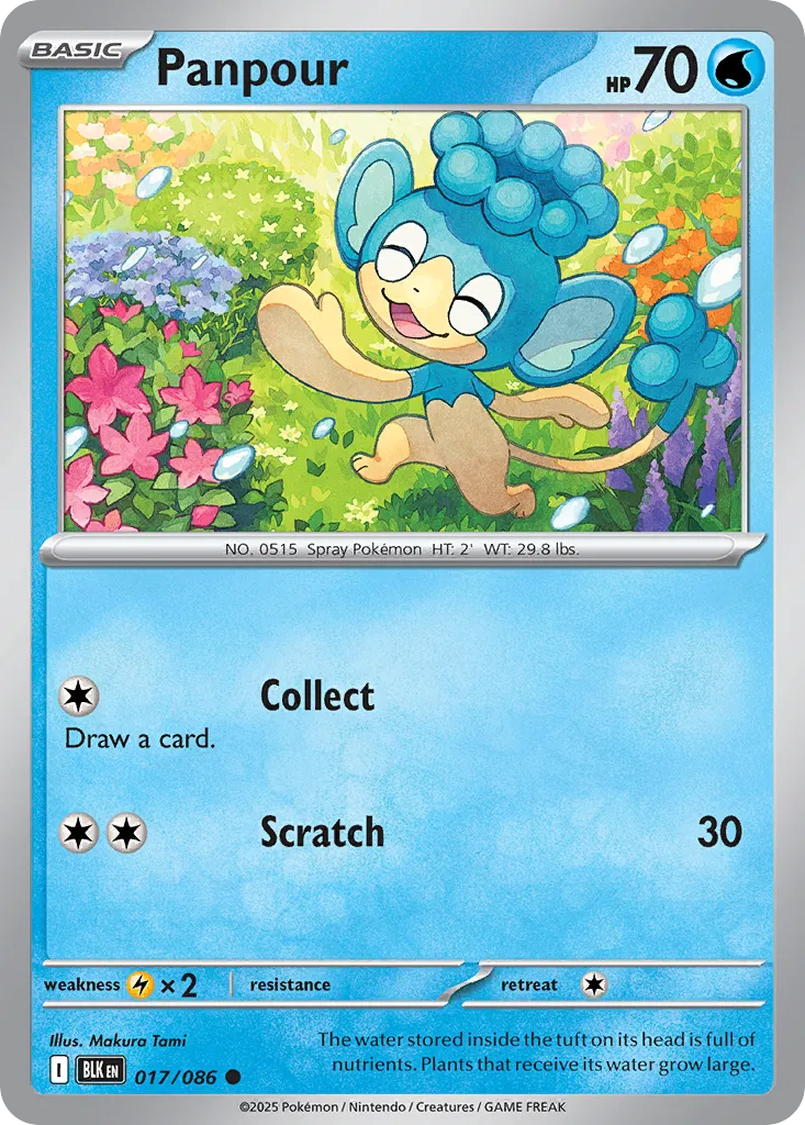 Panpour [Reverse] #17
