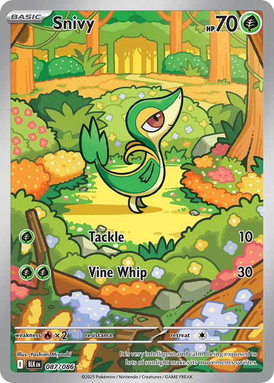 Snivy #87