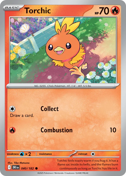 Torchic #40