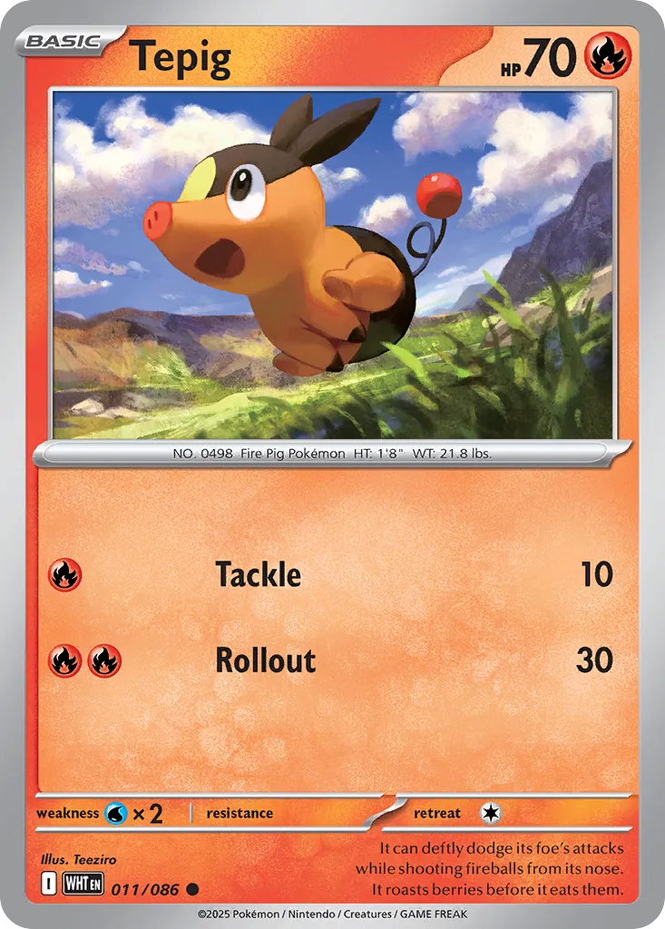 Tepig #11